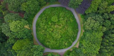 Ariel view of forest.