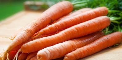 beaucoup de carottes sur le dessus et les unes à côté des autres