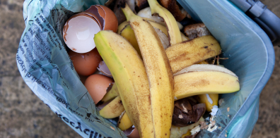 Déchets alimentaires 