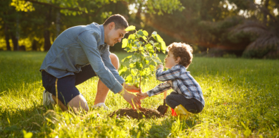 Homme et garçon plantant un arbre 