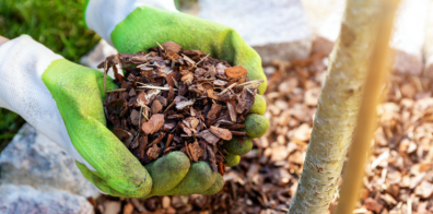 Tree mulch 