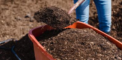 Shovel moving compost